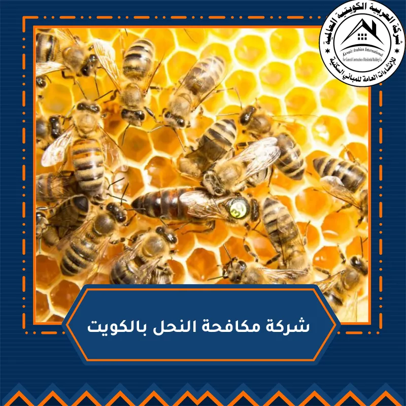 شركة مكافحة النحل بالكويت